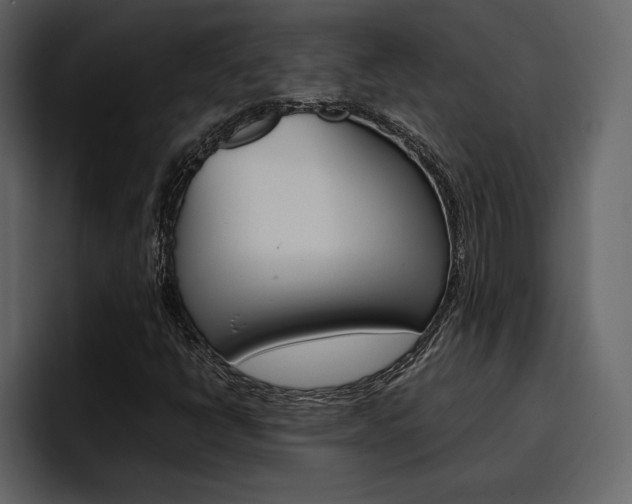 X0000097481398200802220811