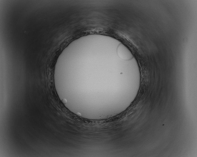 X0000097481399200802220811