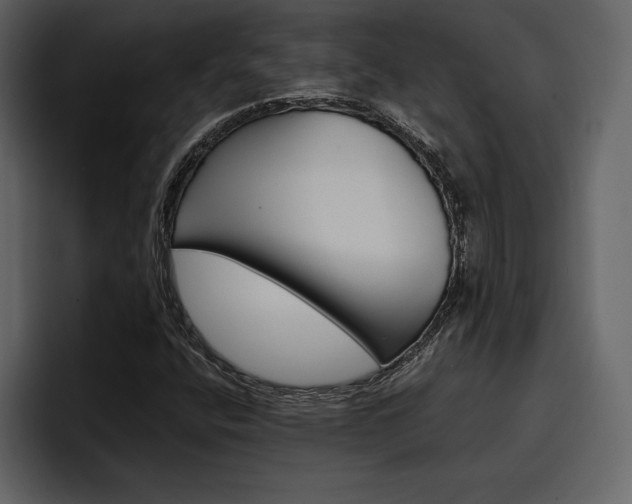 X0000097481400200802220811