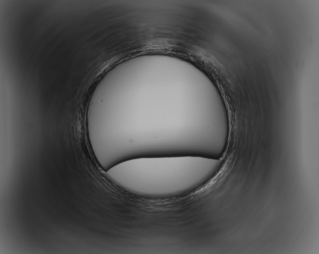 X0000097481401200802220811