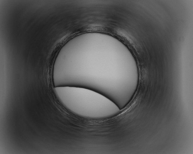 X0000097481403200802220811
