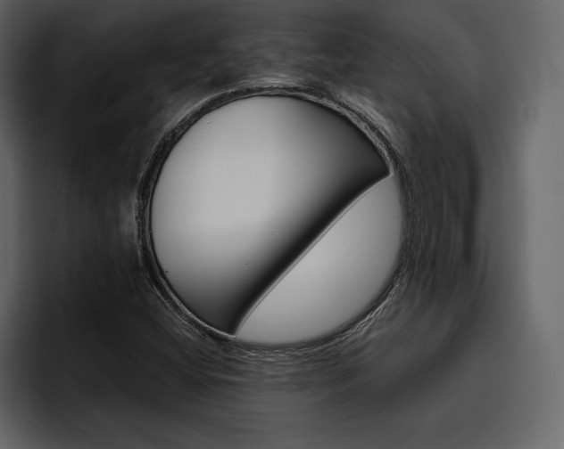 X0000097481404200802220811