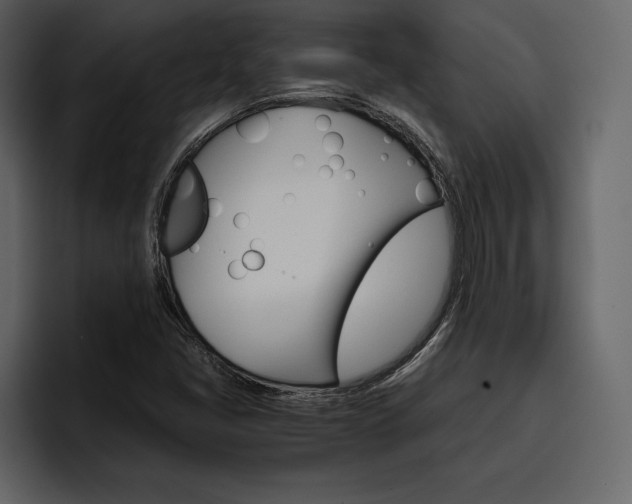 X0000097481405200802220811