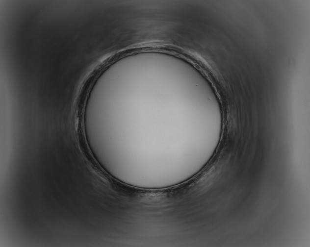 X0000097481406200802220811