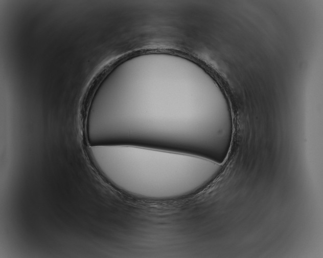 X0000097481408200802220811