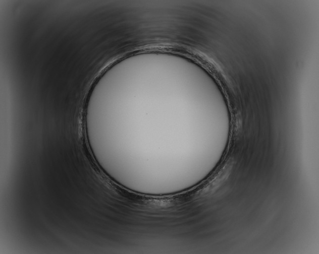 X0000097481409200802220811