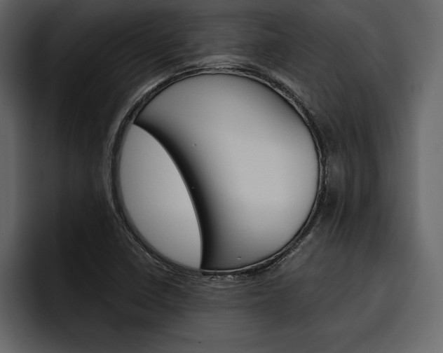 X0000097481410200802220811