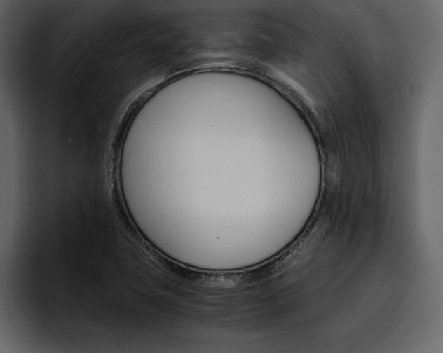 X0000097481411200802220811