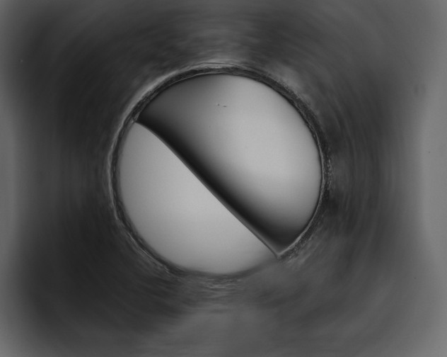 X0000097481412200802220811