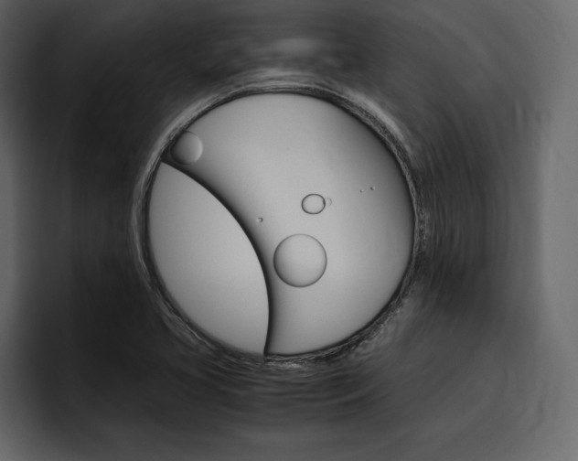 X0000097481413200802220811