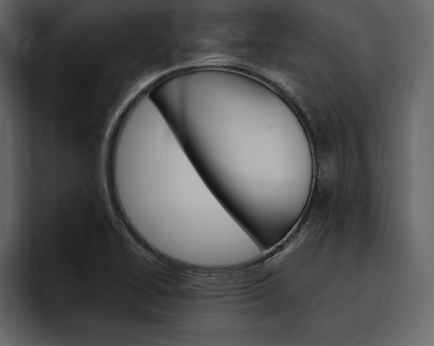 X0000097481414200802220811