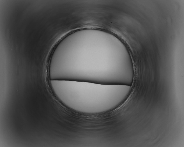 X0000097481415200802220811