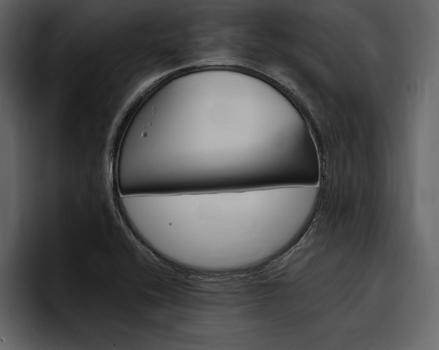 X0000097481416200802220811