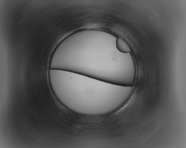 X0000097481417200802220811