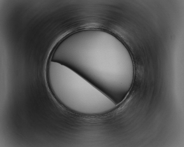 X0000097481418200802220811