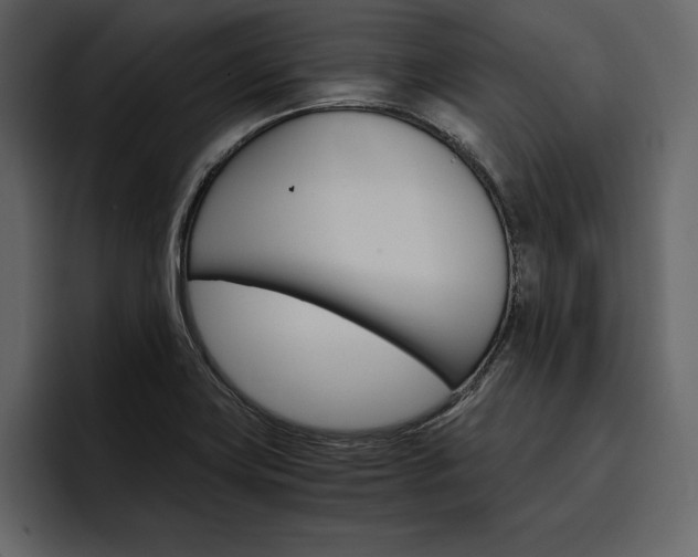 X0000097481419200802220811