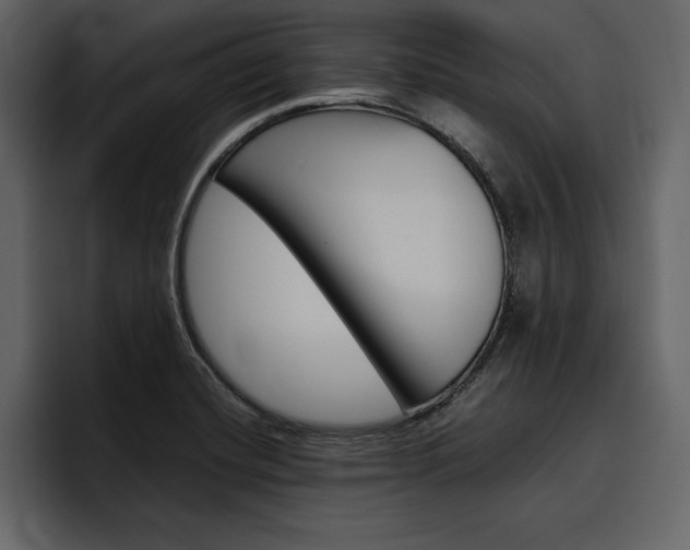 X0000097481420200802220811
