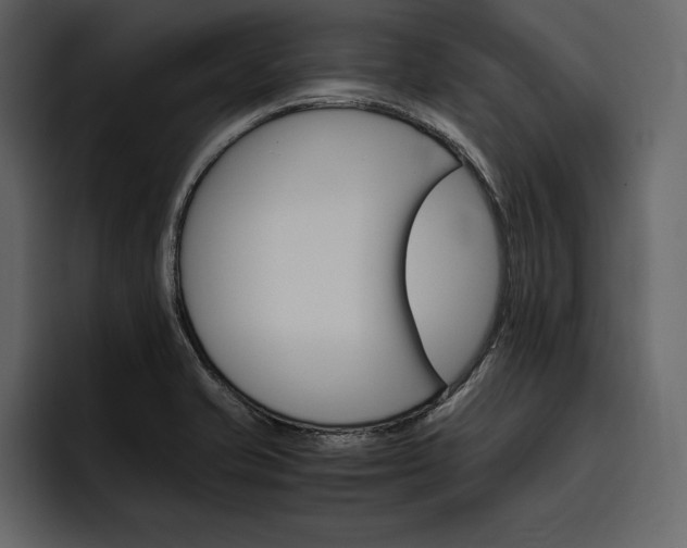 X0000097481421200802220811