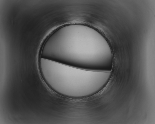 X0000097481422200802220811
