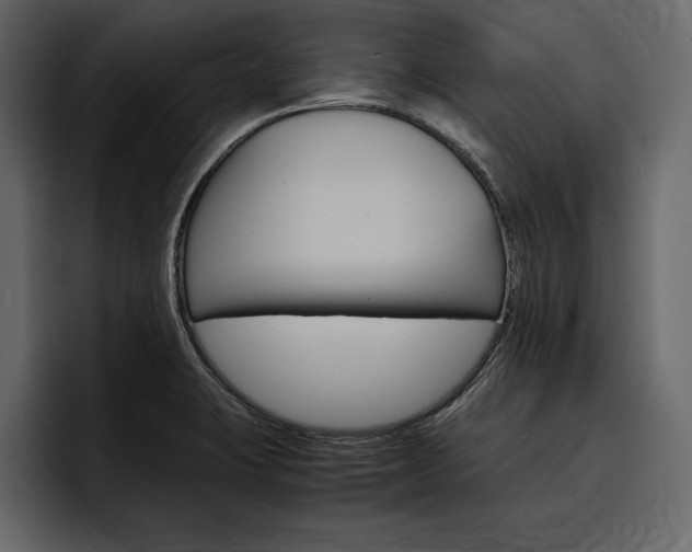 X0000097481423200802220811