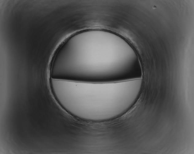 X0000097481424200802220811