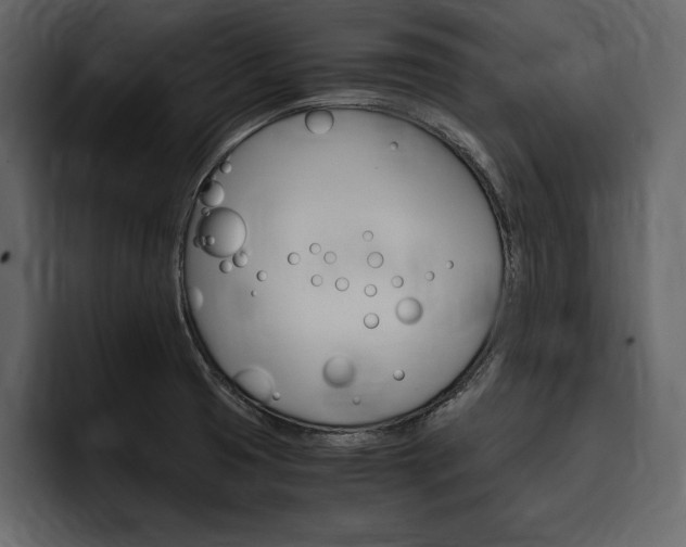 X0000097481425200802220812