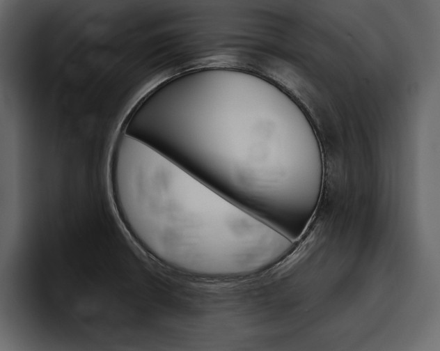 X0000097481426200802220812