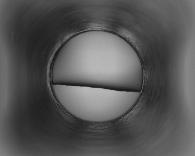 X0000097481427200802220812