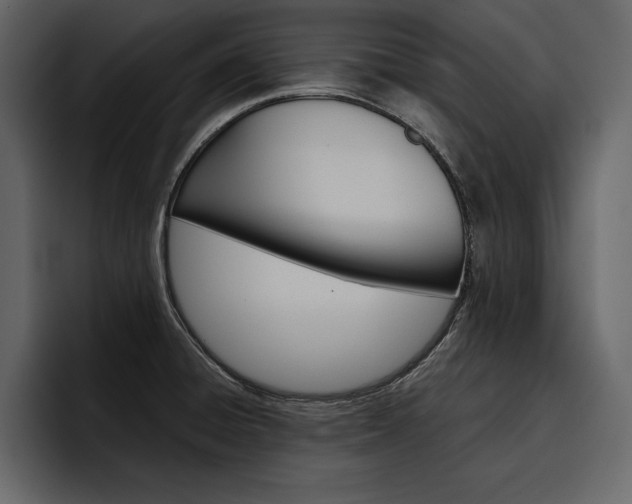 X0000097481428200802220812