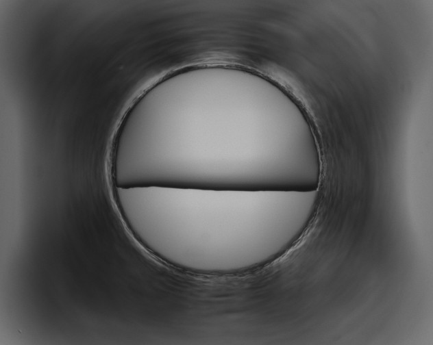 X0000097481429200802220812