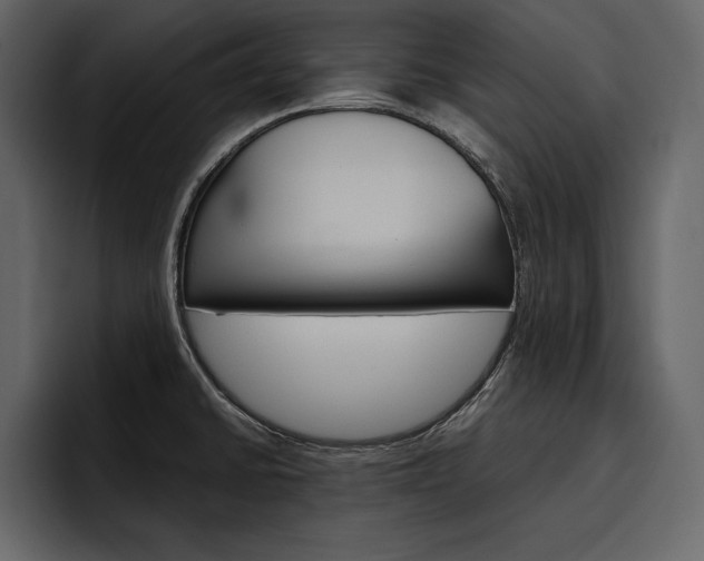 X0000097481430200802220812