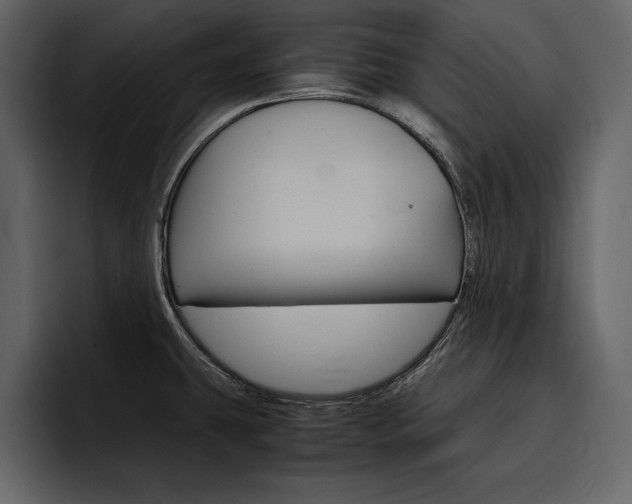 X0000097481431200802220812