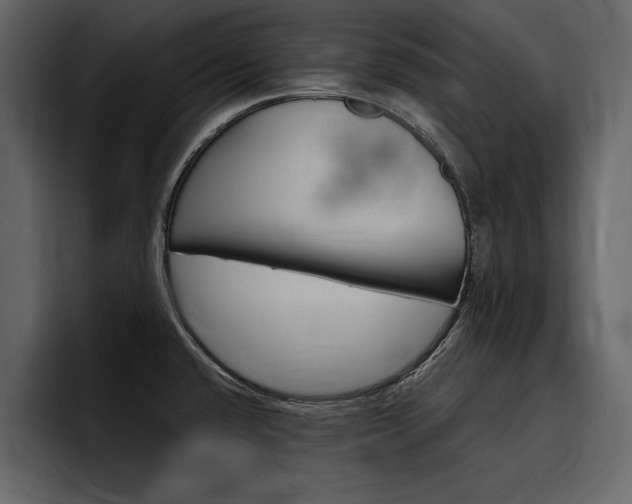 X0000097481432200802220812