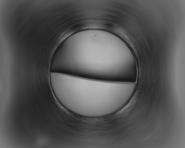 X0000097481433200802220812