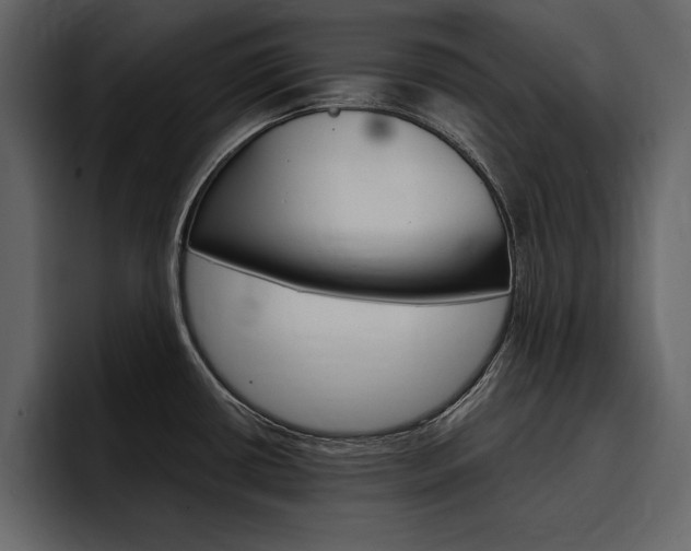 X0000097481434200802220812