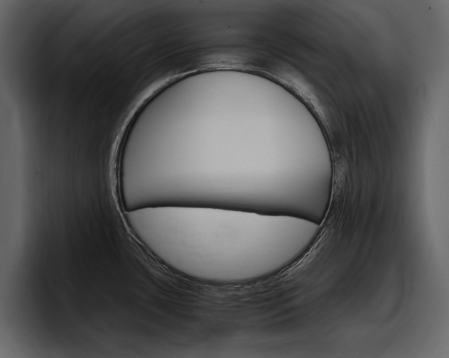 X0000097481435200802220812