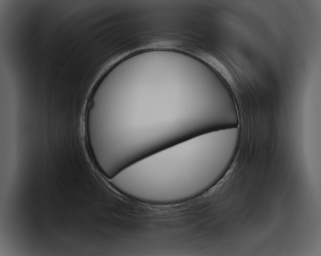 X0000097481436200802220812