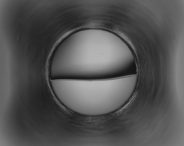 X0000097481437200802220812