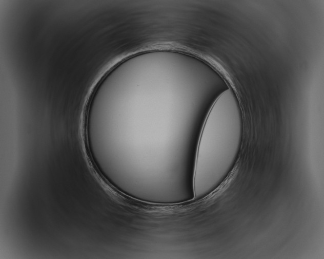 X0000097481438200802220812