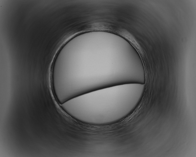 X0000097481439200802220812