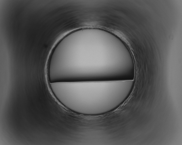 X0000097481440200802220812