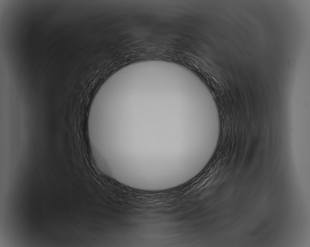 X0000097481441200802220811