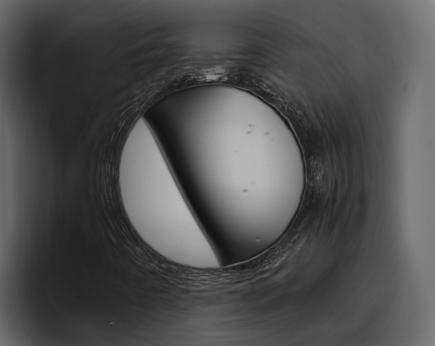 X0000097481442200802220811