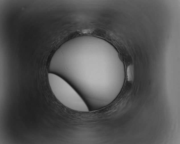 X0000097481443200802220811