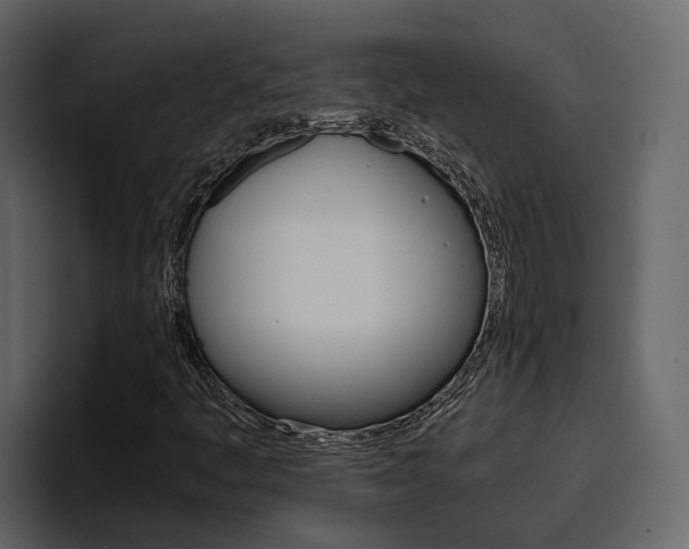 X0000097481445200802220811