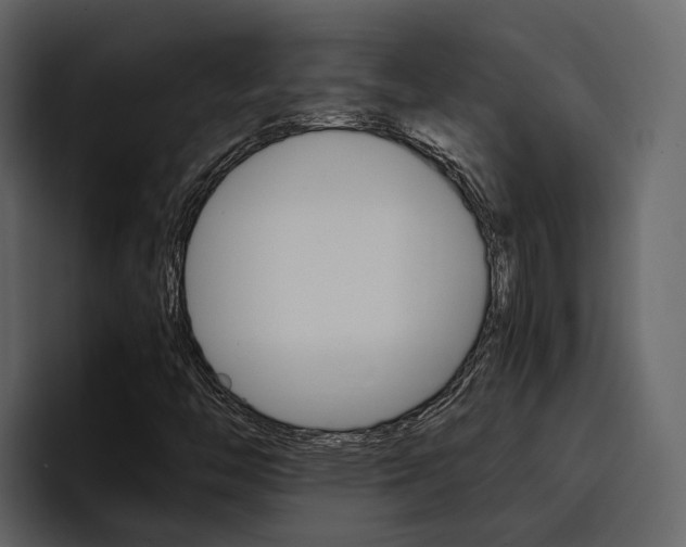 X0000097481446200802220811