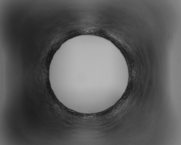 X0000097481447200802220811
