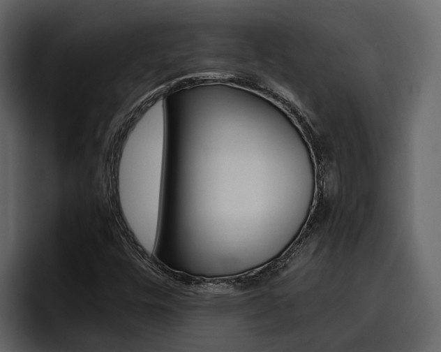 X0000097481448200802220811