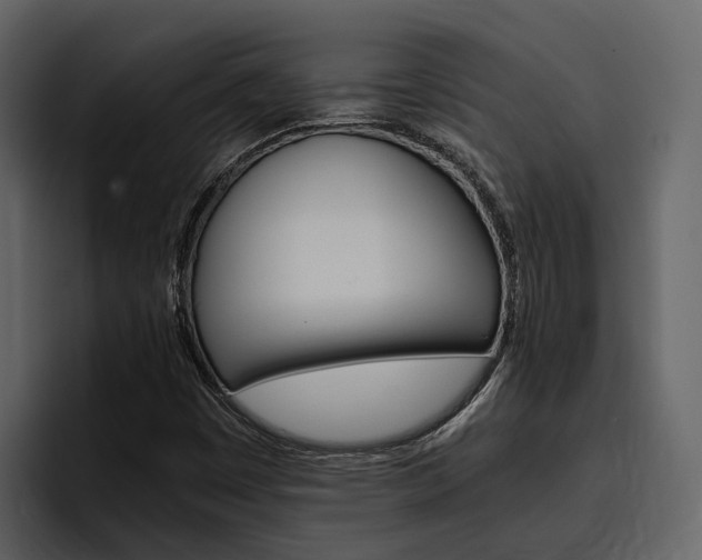 X0000097481449200802220811