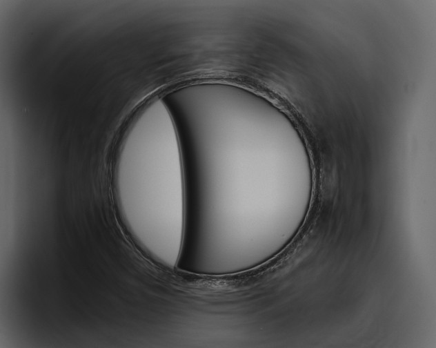 X0000097481450200802220811
